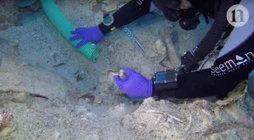 O esqueleto foi encontrado próximo à costa de uma ilha grega - Divulgação / Youtube / Nature Video