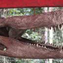 Representação do maior crocodilo que já existiu - Divulgação / Valter Calheiros / Musa