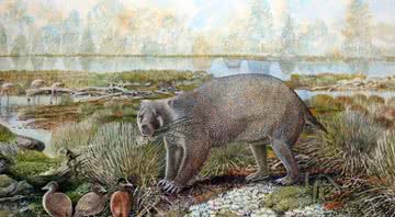 Ilustração de como era o animal de 25 milhões de anos - Divulgação/Peter Schouten/Universidade de New South Wales