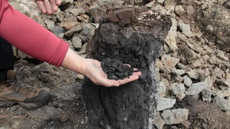 Um pedaço de carvão retirado de rochas na Sibéria - Divulgação