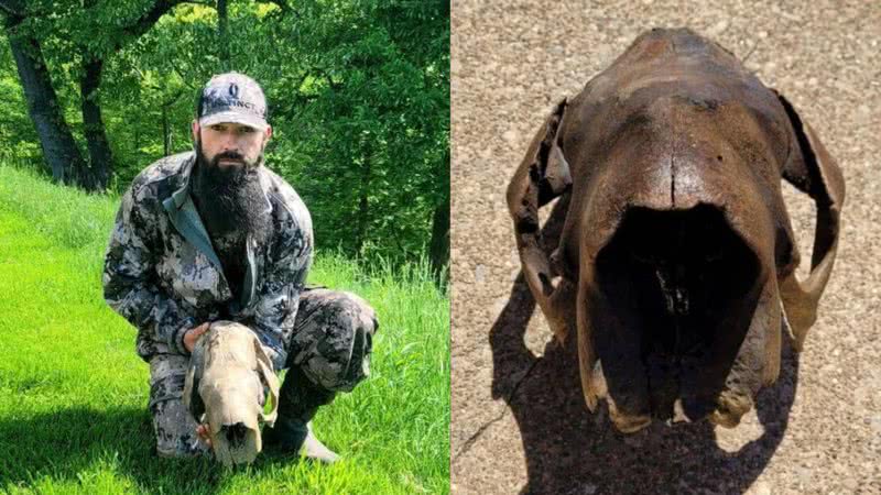 Crãnio de preguiça-gigante achada nos Estados Unidos - Divulgação/ Facebook Elizabeth Adkins e Kevin Adkins