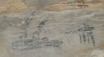 Pintura rupestre de um lêmure preguiça - Divulgação /  Burney