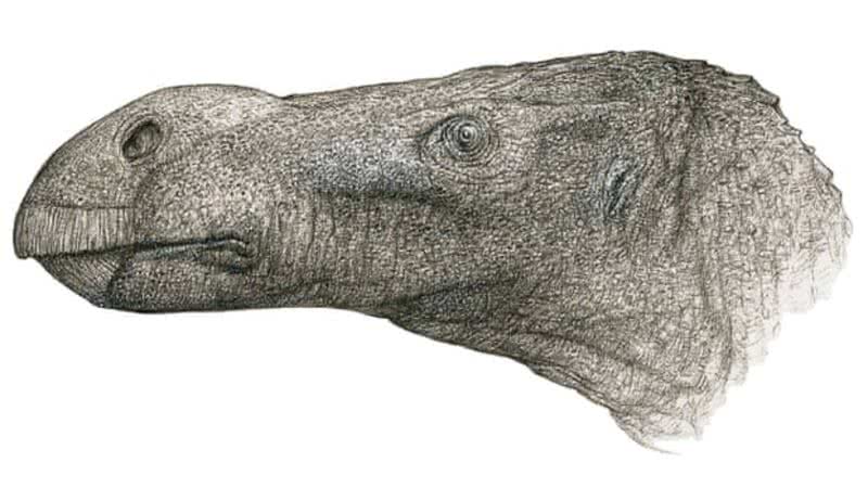 Ilustração da nova espécie, Brighstoneus simmondsi - Reprodução / John Sibbick / Universidade de Portsmouth
