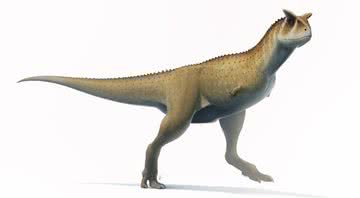 Representação do recém-descoberto dinossauro Guemesia ochoai - Fred Wierum/ Creative Commons/ Wikimedia Commons