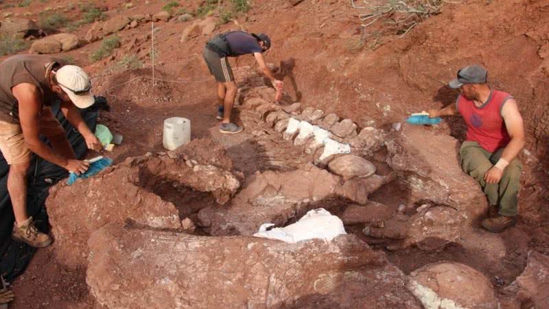 Aventuras na História · Fóssil encontrado na Argentina pode ser de maior  criatura que já existiu