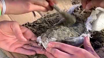 Trecho de vídeo mostrando escavação dos restos mortais - Divulgação/ Youtube/ The Star