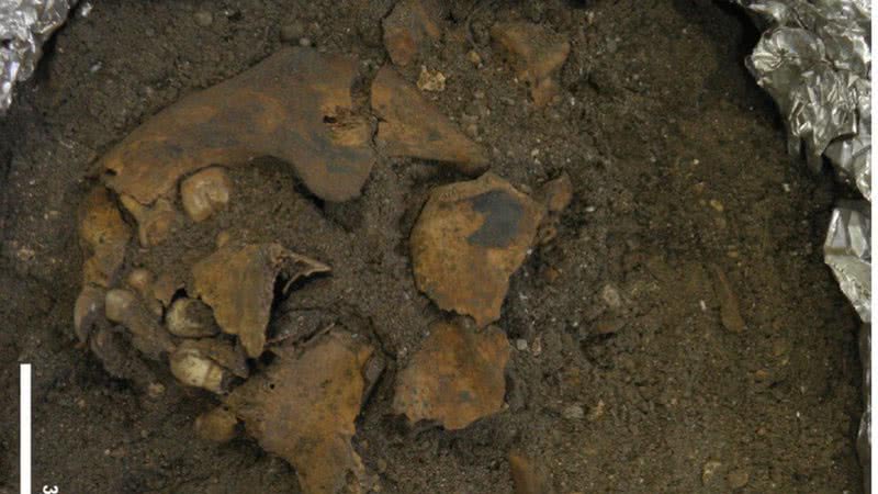 Aventuras na História · Túmulo de 8 mil anos de criança sem ossos do braço  e perna é encontrado na Indonésia