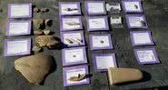 Fotografia mostrando alguns dos objetos encontrados - Divulgação/ Twitter