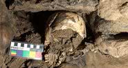 O crânio encontrado na caverna Marcel Loubens - Divulgação/PLOS ONE