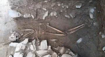 Terceiro esqueleto encontrado em Tepe Ashraf, Irã - Divulgação/Alireza Jafari-Zand