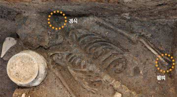 Restos mortais de jovem descobertos na Coreia do Sul - Divulgação/Instituto Nacional de Pesquisa do Patrimônio Cultural de Gyeongju