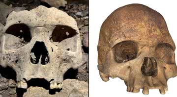 Crânios descobertos na caverna na província de Ngounié do Gabão - Divulgação/P. Mora/Antiquity Publications Ltd.