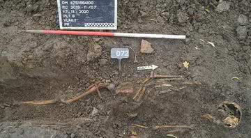 Esqueleto encontrado na Holanda em sepultura coletiva - Divulgação/The Sample 2020