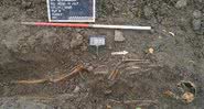 Esqueleto encontrado na Holanda em sepultura coletiva - Divulgação/The Sample 2020