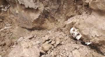 Esqueletos encontrados no Irã - CHTN
