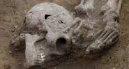 Crânio encontrado na Fazenda de Knobb, Reino Unido - Divulgação/Dave Webb - Cambridge Archaeological Unit
