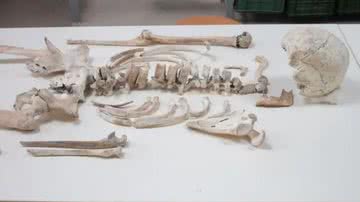 Esqueleto de vítima da erupção em Pompeia analisado no estudo - Divulgação/Serena Viva