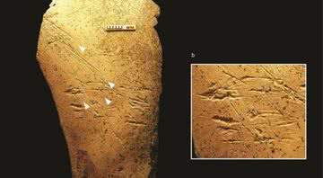 Ferramenta óssea encontrada em Boxgrove, Grã-Bretanha - Divulgação/Instituto de Arqueologia da UCL