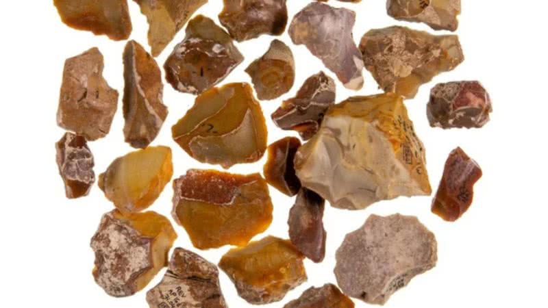 Fotografia de ferramentas de pedra analisadas pelo estudo