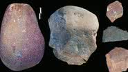 Exemplos das ferramentas de pedra encontradas pelos arqueólogos no sítio de Nyayanga - Divulgação/TW Plummer, JS Oliver and EM Finestone/Homa Peninsula Paleoanthropology Project/SWNS