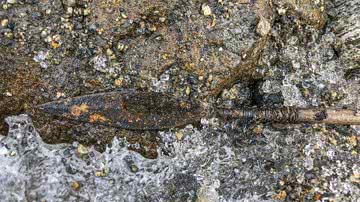 Fotografia da flecha logo após ser encontrada - Divulgação/Glacier Archaeology Program Innlandet