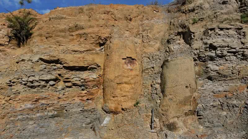 Floresta fossilizada descoberta em Ortigueira, no Paraná - Divulgação/Thammy Mottin/Arquivo pessoal