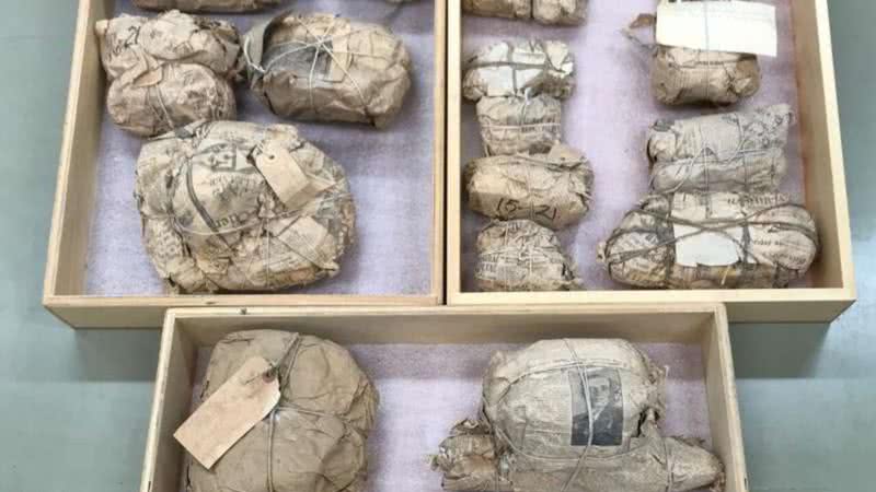 Fósseis embrulhados em jornais antigos