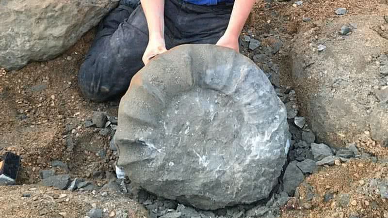 Fóssil de amonite encontrado por dupla de jovens - Divulgação