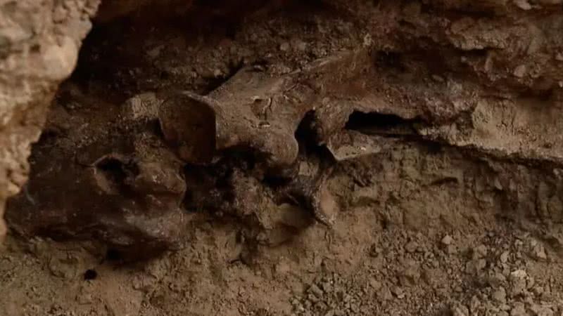 Fotografia do fóssil de cavalo encontrado em Las Vegas - Divulgação/KNTV