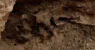 Fotografia do fóssil de cavalo encontrado em Las Vegas - Divulgação/KNTV