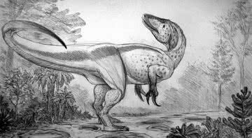 Ilustração de um megaraptor - Wikimedia Commons