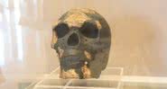 Reprodução do crânio do Omo I - GuillaumeG via Wikimedia Commons