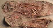 Cova e esqueleto dos dois irmãos encontrados - Divulgação - Natural History Museum Vienna
