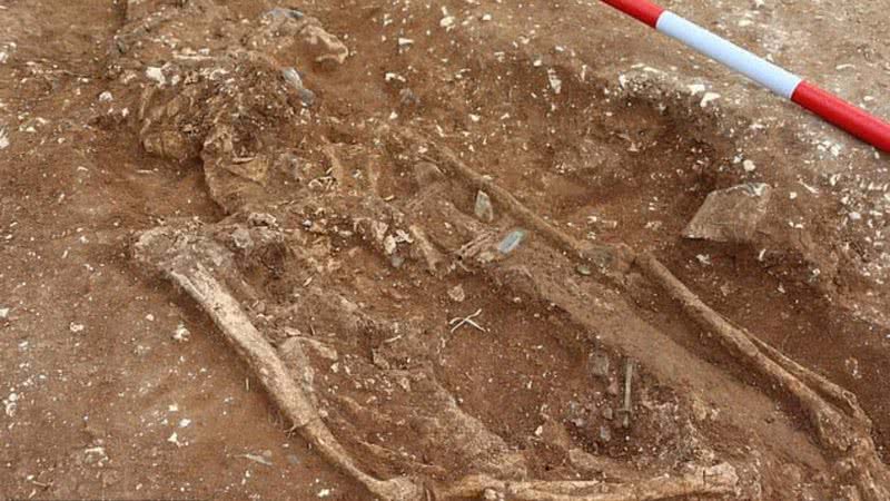 Fotografia de escavação do guerreiro - Divulgação/Universidade de Reading