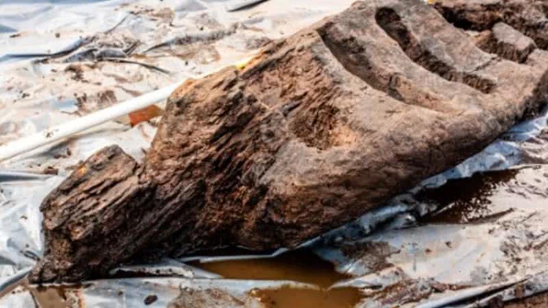 O ídolo de madeira descoberto em pântano na Irlanda - Divulgação/John Channing/Archaeological Management Solutions