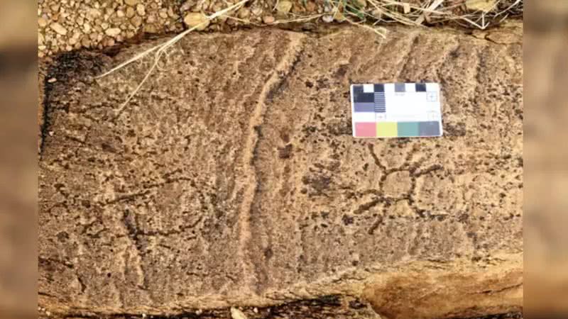 Inscrições em pedra encontrada na Índia - Divulgação