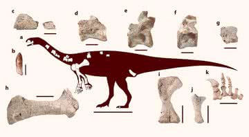 Mapeamento do corpo do dinossauro com os ossos encontrados - Claire Peyre de Fabrègues et al.
