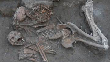 Imagem dos restos mortais dos irmãos encontrados - Divulgação / Megiddo Expedition
