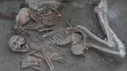 Imagem dos restos mortais dos irmãos encontrados - Divulgação / Megiddo Expedition