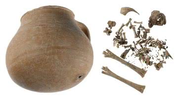 O jarro grego encontrado e os ossos de galinha - Divulgação/C. Mauzy - Athenian Agora excavations