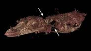 Representação virtual do lagarto extinto conservado em âmbar - Reprodução/Mónica M. Solórzano‑Kraemer et.al