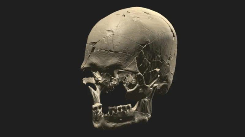 Renderização da tomografia do crânio do Luzio - Reprodução/Universidade de São Paulo/Museu de Arqueologia e Etnologia/André Strauss