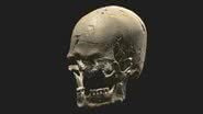 Renderização da tomografia do crânio do Luzio - Reprodução/Universidade de São Paulo/Museu de Arqueologia e Etnologia/André Strauss