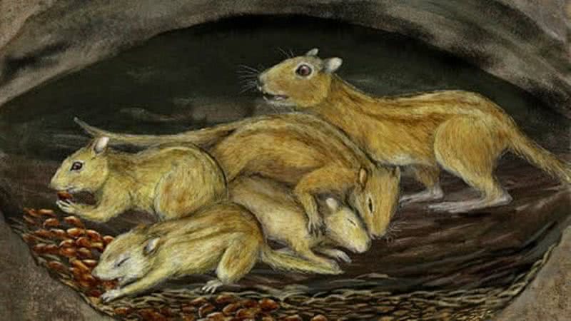 Ilustração do mamífero Filikomys primaevus - Divulgação - Misaki Ouchida