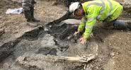Fotografia de presa de mamute sendo escavada - Divulgação/ DigVentures