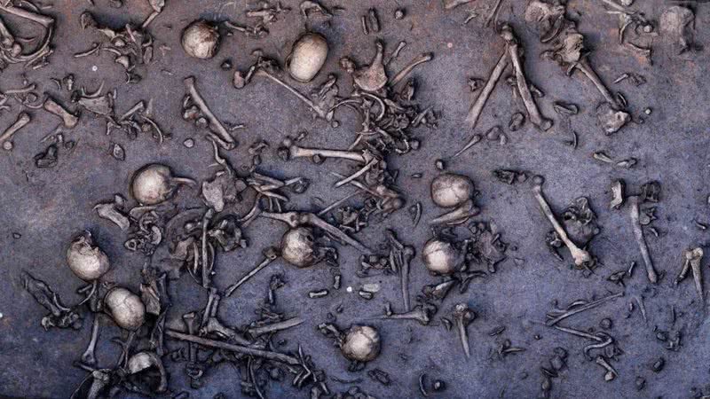 Fotografia de alguns dos ossos encontrados no local - Divulgação