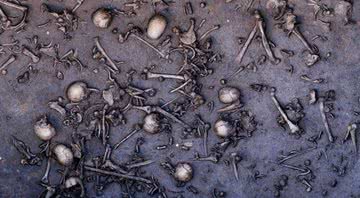 Fotografia de alguns dos ossos encontrados no local - Divulgação