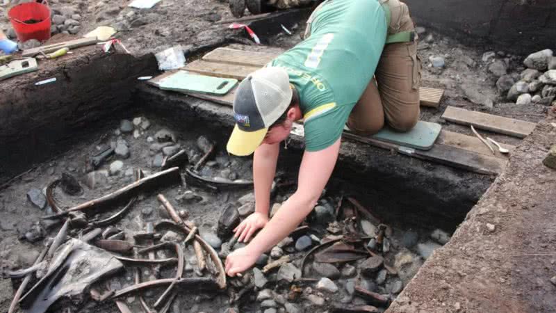 Escavação na Inglaterra encontrou ossos de animais, ferramentas e armas da Idade da Pedra - Divulgação/Universidade de Chester