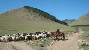 Fotografia meramente ilustrativa de rebanho de ovelhas sendo criado na Mongólia atual - Divulgação/ Wikimedia Commons/ Arabsalam