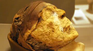 A misteriosa cabeça da múmia - Wikimedia Commons